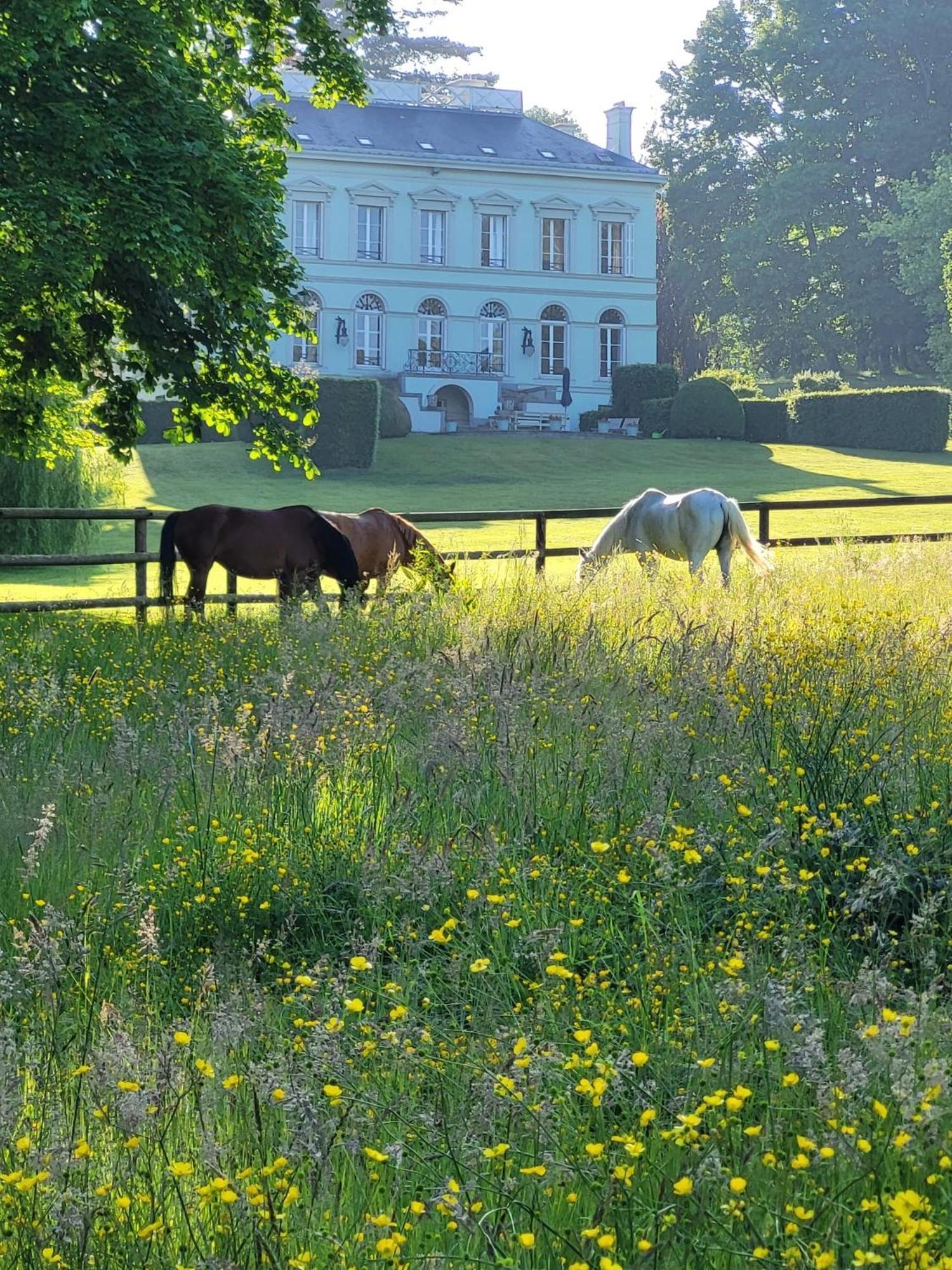 La Maison Du Cavalier, Chateau De Lavenue Pierrefitte-en-Auge Exterior foto